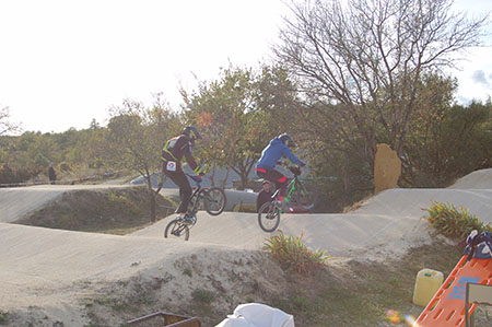 DSC 1005